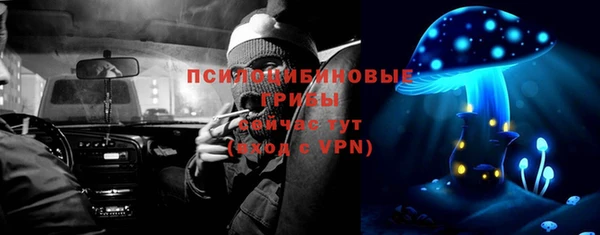 прущие крисы Арсеньев