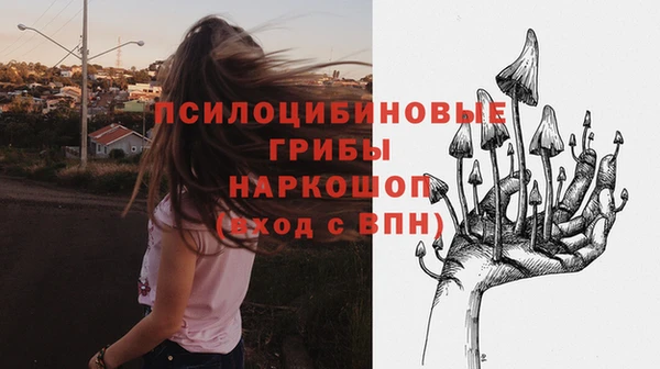 прущие крисы Арсеньев