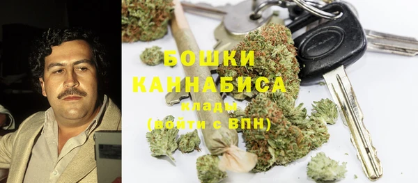 прущие крисы Арсеньев
